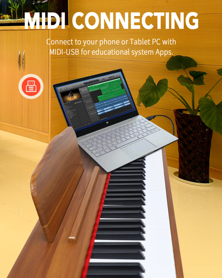 Electronic piano for pc